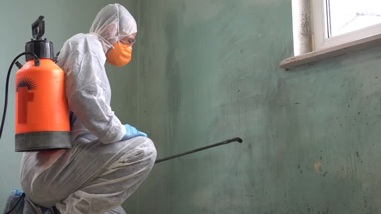 Best Biohazard Mold Removal  in Amity, OR